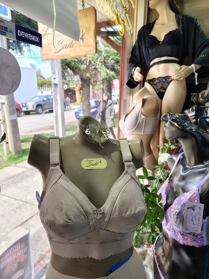 Corsetería seleccionada en Lencería Sadi